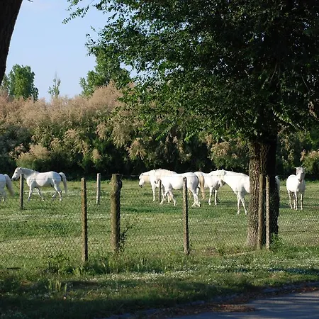 Villetta Con Ampio Giardino Ferienhaus